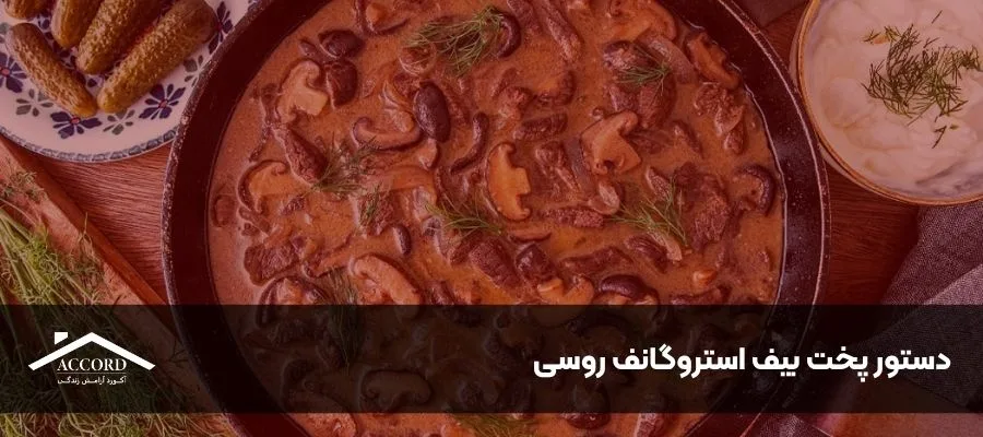 دستور پخت بیف استروگانف روسی