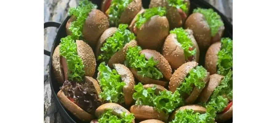 فر توکار و اجاق گاز آکورد برای تهیه فینگرفود